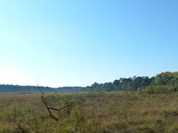 N-VA wandeltocht Snepkesvijver