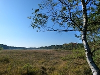 N-VA wandeltocht Snepkesvijver